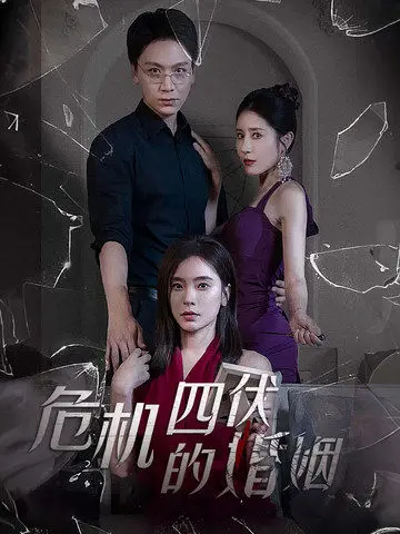 危机四伏的婚姻：深度剖析、悬疑与情感的交织