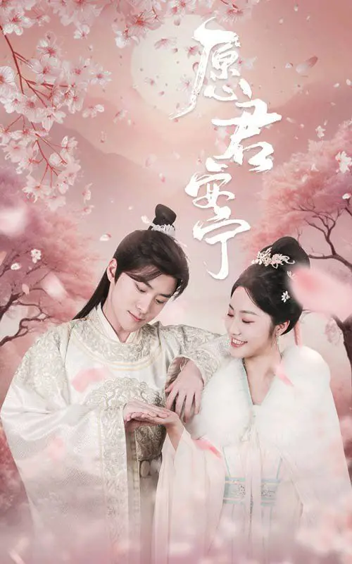 《愿君安宁》：一部触及灵魂的疗愈之作，献给每一个在生活中挣扎的你